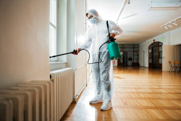 Best Local Pest Control Services  in Weissport East, PA